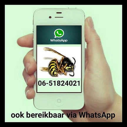 Whatsapp wespenbestrijding